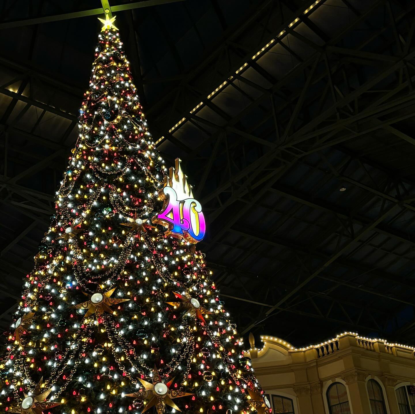 Christmas Disney ♡

先週ディズニーに行ってきました！🌝
クリスマスシーズンはどこに行ってもワクワクしますよね！！
気温もちょうど良くて最高でした🏽♪

皆様は最近どこか行かれましたか？＾＾

Instagram
↓
@hanasomeya
（デザインや日常を投稿しているので是非覗いてみてください＾＾）

◆◇◆gemini eyelash 田無◆◇◆
住所：東京都西東京市南町3-19-32ときわビル102
電話：042 429 3306

【アクセス】
田無駅より徒歩5分
田無南口、武蔵境通りの坂を下って左側にあります

【営業時間】
9:00~21:00（最終受付20:00）

【休日】
不定休

【関連ワード】
まつげパーマ/アイブロウ/眉毛/まつ毛パーマ/マツエク/フラットラッシュ/まつパ/眉毛サロン
ラッシュリフト/ボリュームラッシュ/ワンホン/上下/マツパ/カラーエクステ
まつエク/下まつげ/束感/田無/西武線/西武新宿/西武柳沢/花小金井